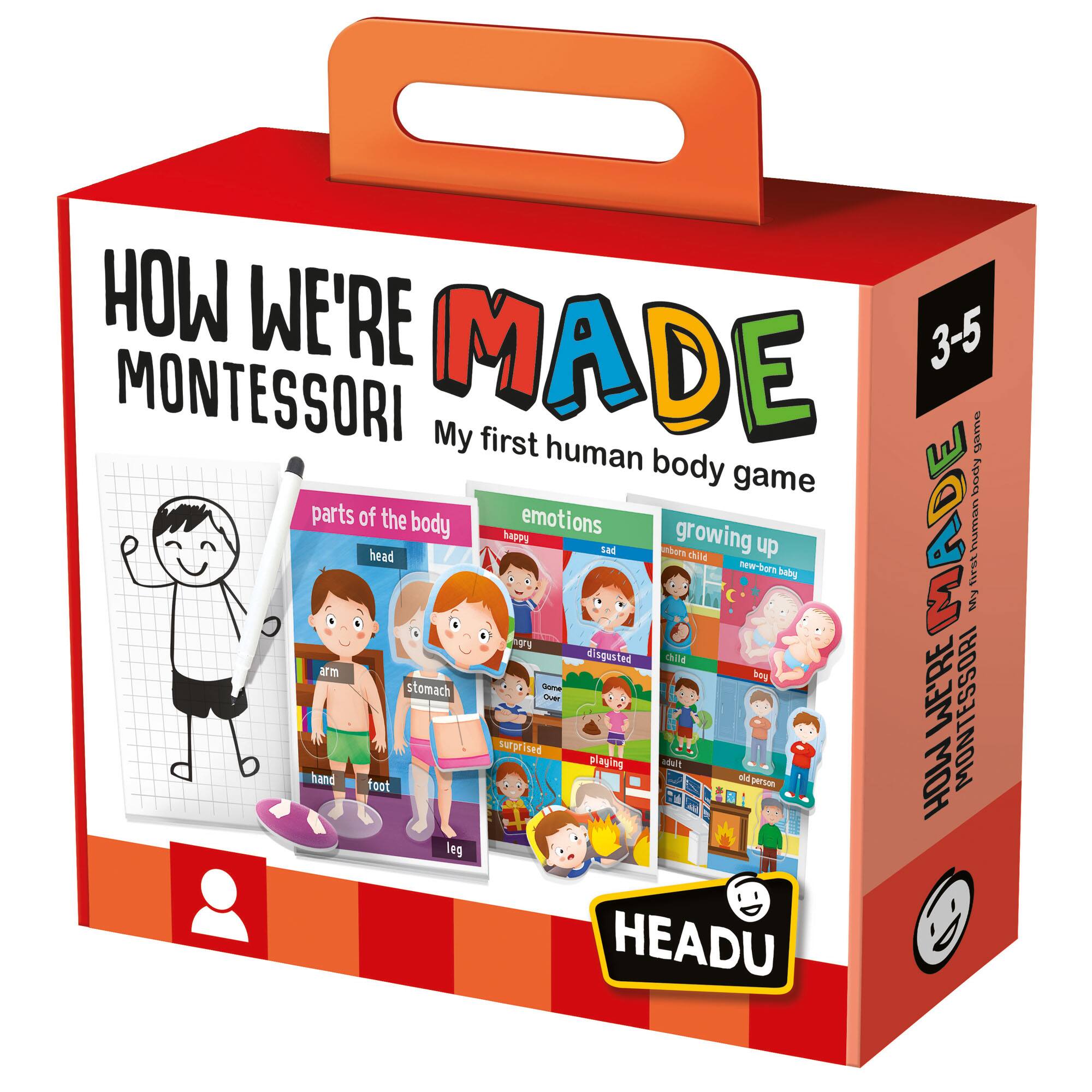 Headu How We Are Made My First Human Body Game